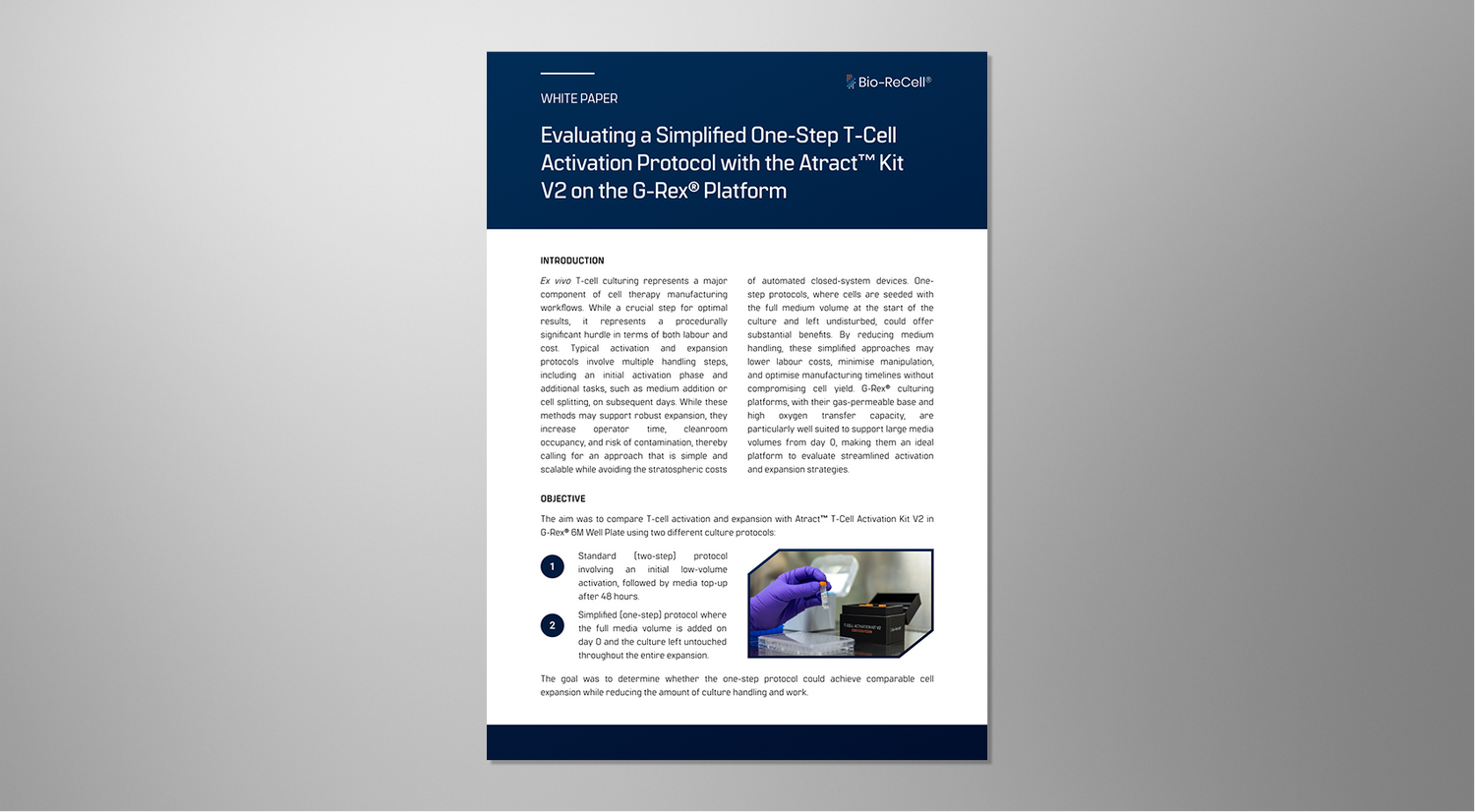 Bio-ReCell Publishes White Paper on Streamlined Approach to T-Cell Activation