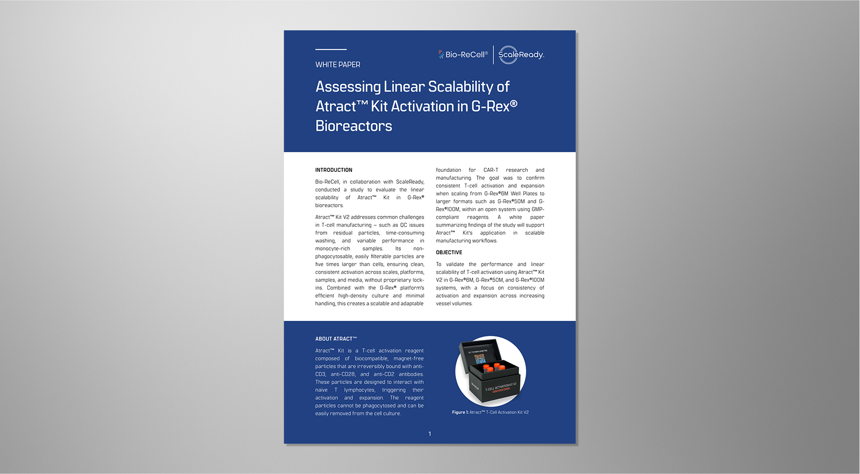 Bio-ReCell Publishes New White Paper on Scalable T-Cell Activation