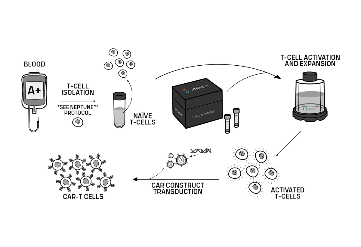 Atract Capsule Atract™ Kit
